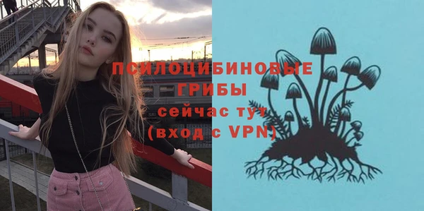 spice Бронницы