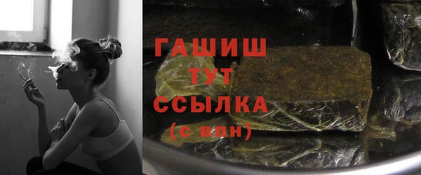 молекула духа Богородицк