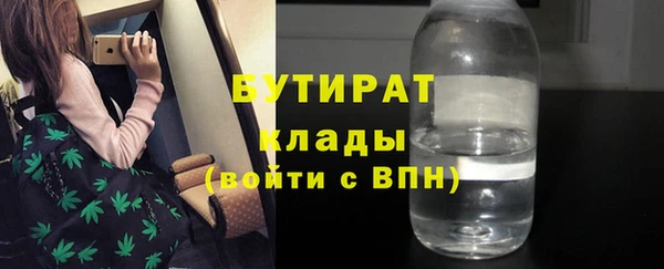 шишки Бородино