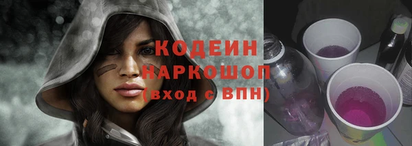 молекула духа Богородицк