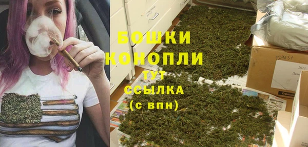 молекула духа Богородицк