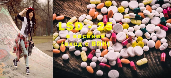 ECSTASY Богданович