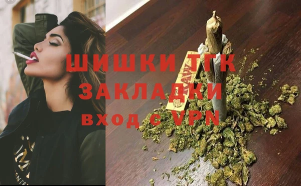 шишки Бородино