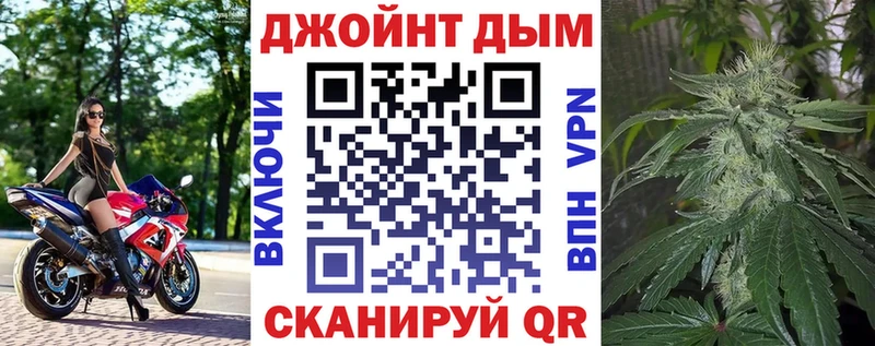 Конопля гибрид  Гороховец 